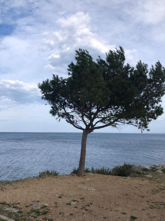 Casa Vacanze Da Maurizio Santa Flavia Kültér fotó